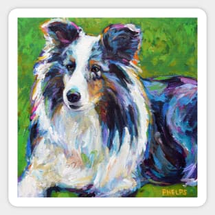 Colorful SHELTIE Sticker